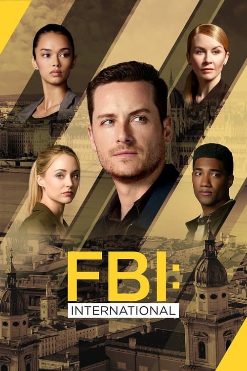 FBI: International TV show poster