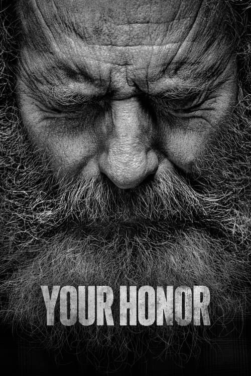 Your Honor TV show poster