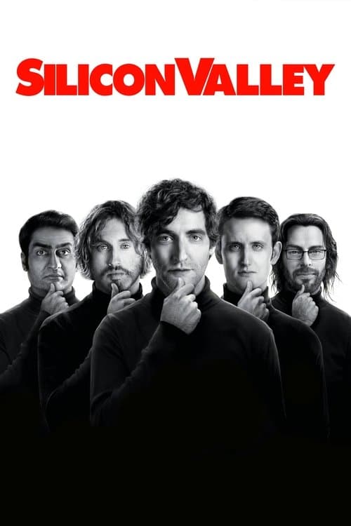 Silicon Valley TV show poster