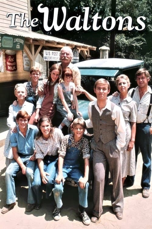The Waltons TV show poster