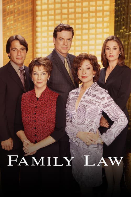 Family Law TV show poster
