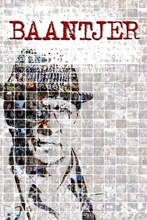 Baantjer TV show poster