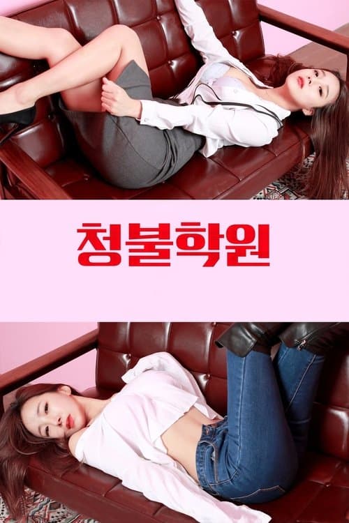 Adult Only Institute movie poster