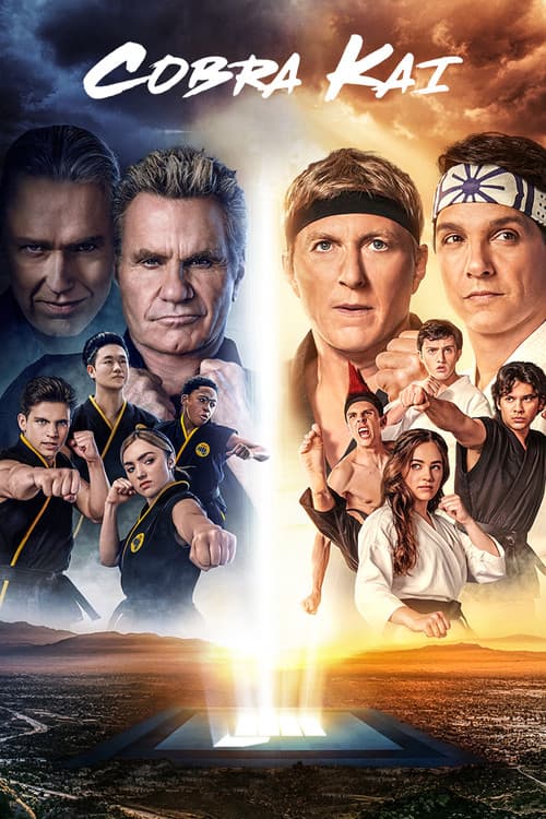 Cobra Kai TV show poster