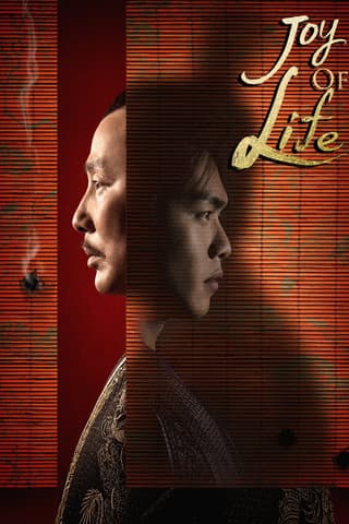 Joy of Life TV show poster