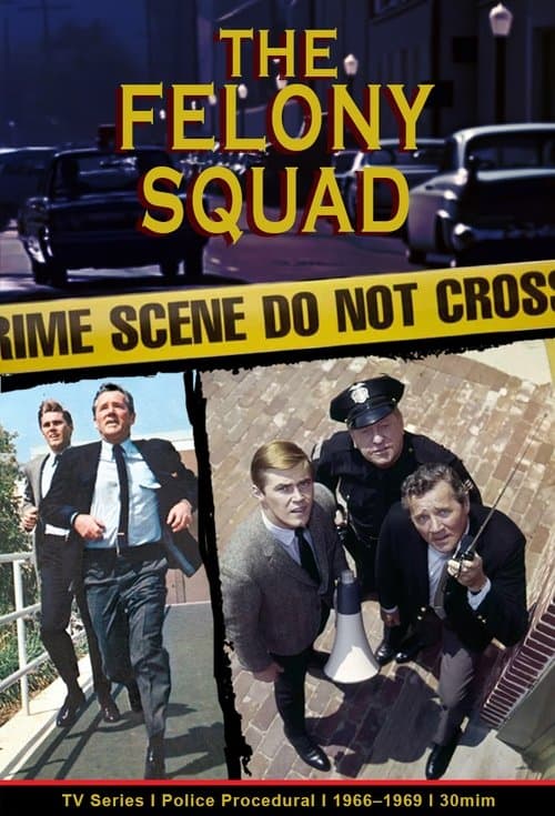 Felony Squad TV show poster