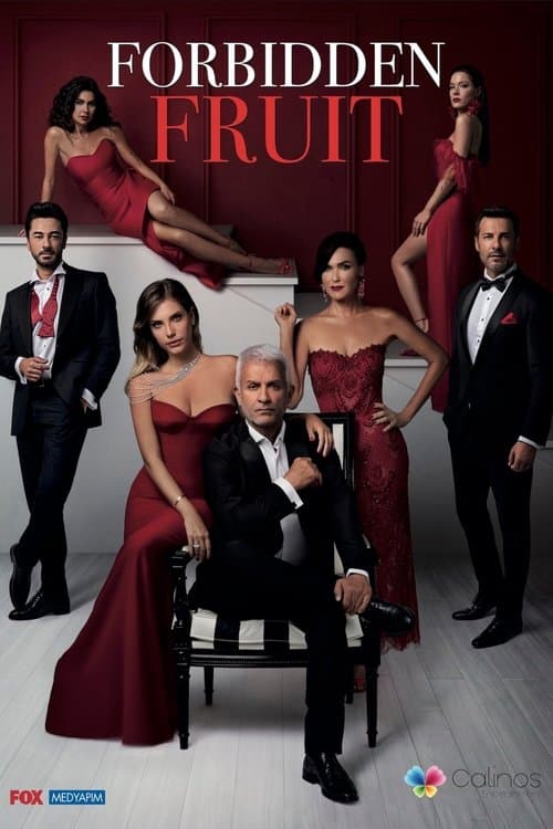 Forbidden Fruit TV show poster