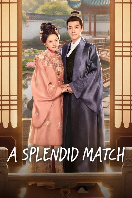 A Splendid Match TV show poster