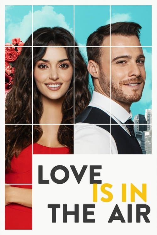 Love Is in the Air TV show poster