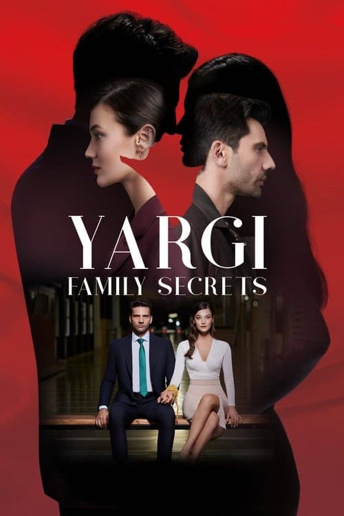 Family Secrets TV show poster