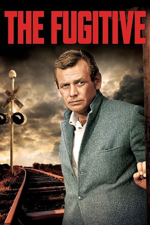 The Fugitive TV show poster
