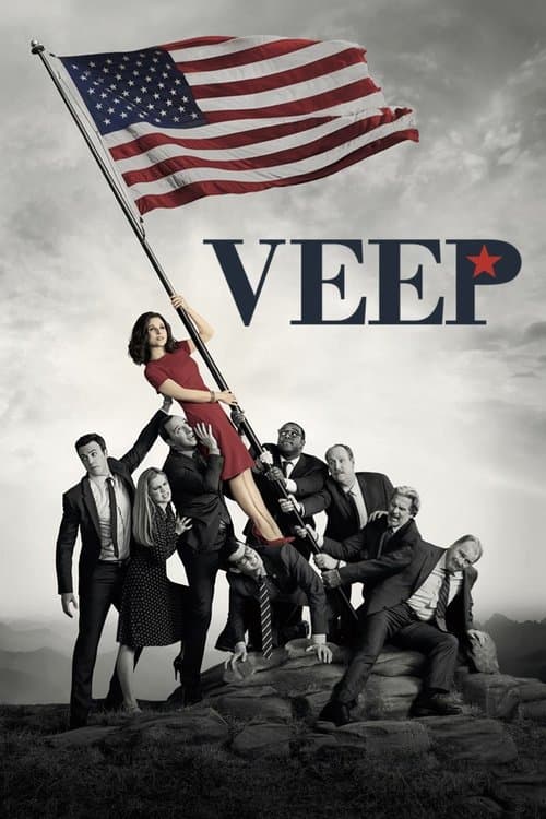 Veep TV show poster