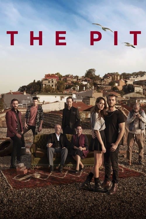 The Pit TV show poster
