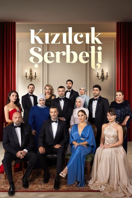Cranberry Sorbet TV show poster