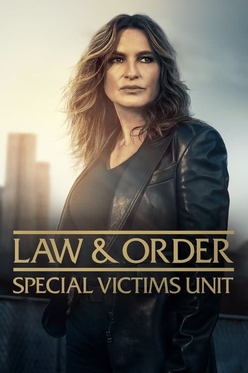 Law & Order: Special Victims Unit TV show poster