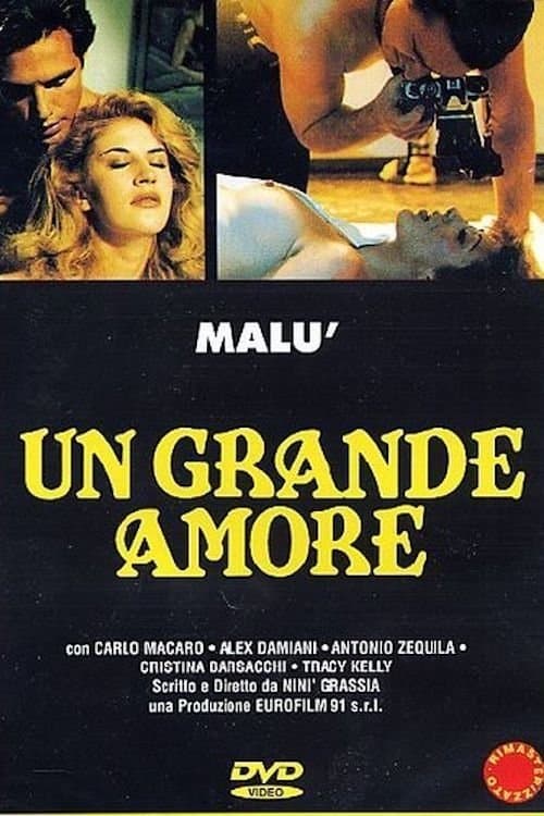 A Great Love movie poster