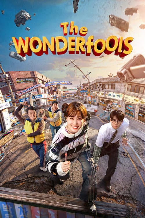 The WONDERfools TV show poster