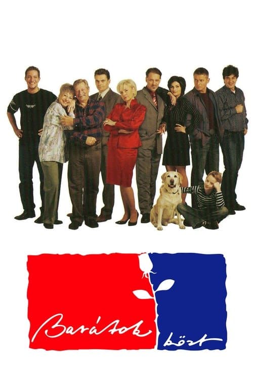 Among Friends TV show poster