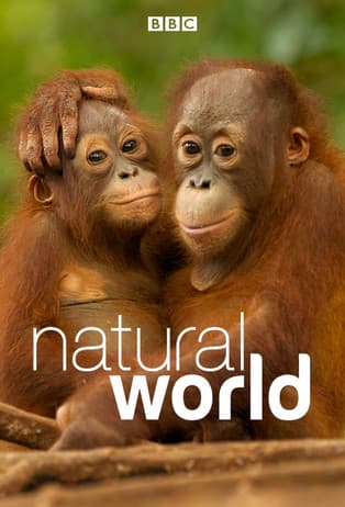 Natural World TV show poster
