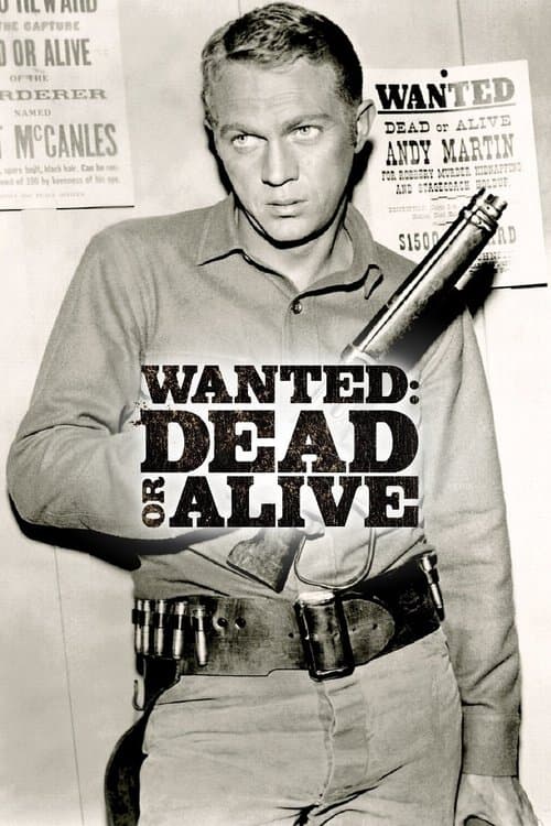 Wanted: Dead or Alive TV show poster