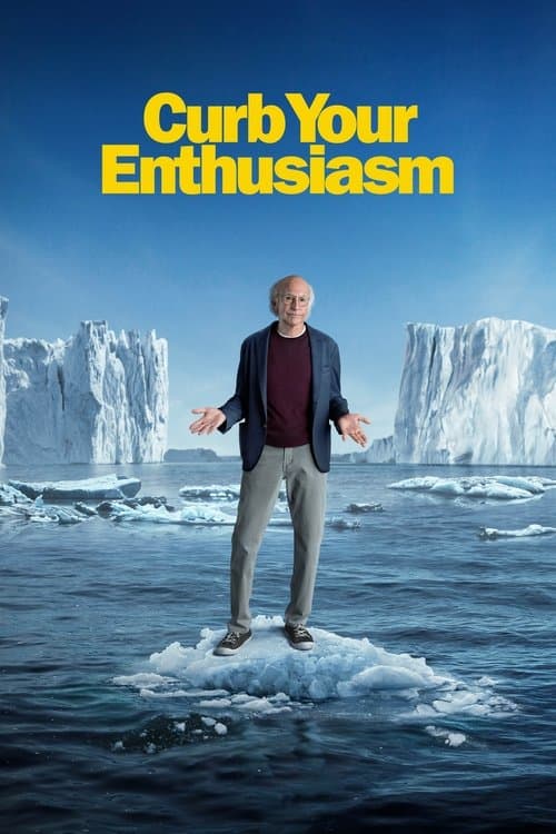 Curb Your Enthusiasm TV show poster