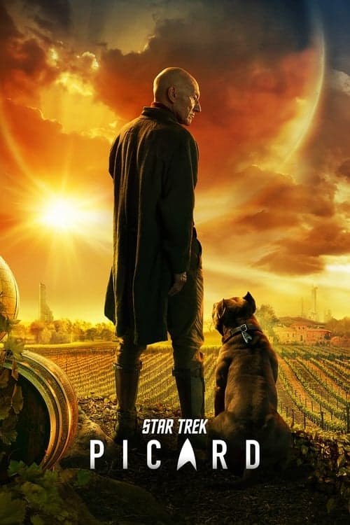 Star Trek: Picard TV show poster