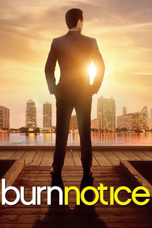 Burn Notice TV show poster
