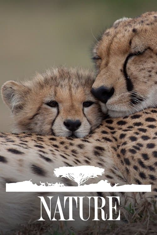 Nature TV show poster