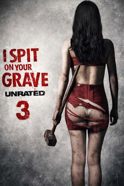 I Spit on Your Grave III: Vengeance Is Mine movie poster