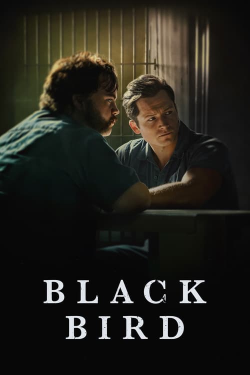 Black Bird TV show poster