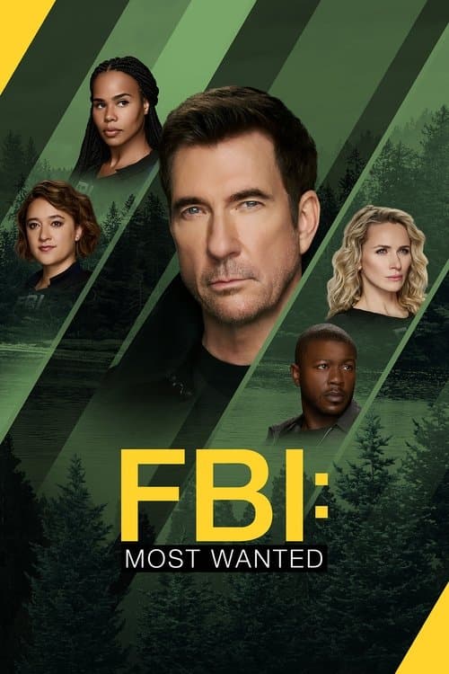 FBI: Most Wanted TV show poster