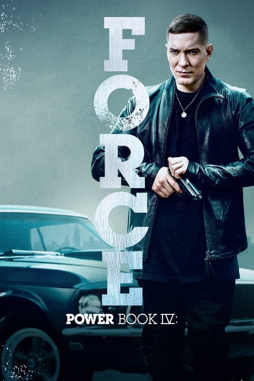 Power Book IV: Force TV show poster